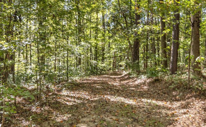 Pictures of Land property located at 177 Karen Calhoun Road, Pittsboro, NC 27312 for sales - image #1