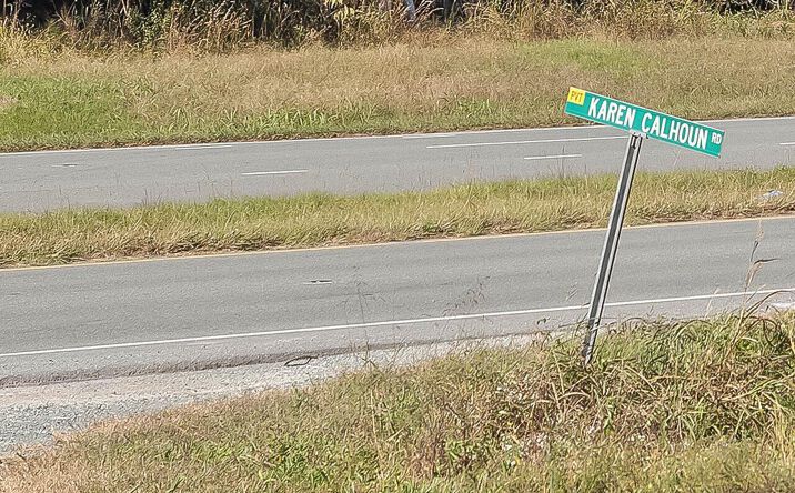 Pictures of Land property located at 281 Karen Calhoun Road, Pittsboro, NC 27312 for sales - image #1