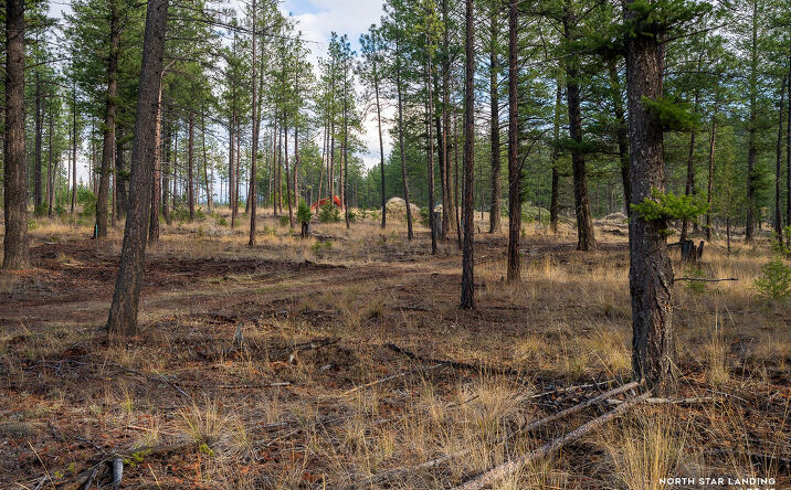 Pictures of Land property located at Lot 49 Basin Bend North Star Landing, Eureka, MT 59917 for sales - image #1