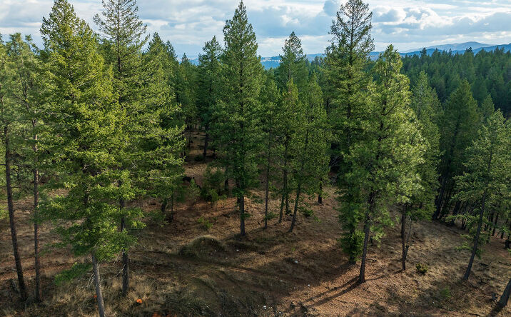 Pictures of Land property located at Lot 10 Lake Heights North Star Landing, Eureka, MT 59917 for sales - image #1