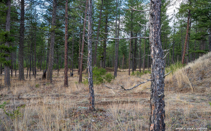 Pictures of Land property located at Lot 56 Dropping Draw North Star Landing, Eureka, MT 59917 for sales - image #1