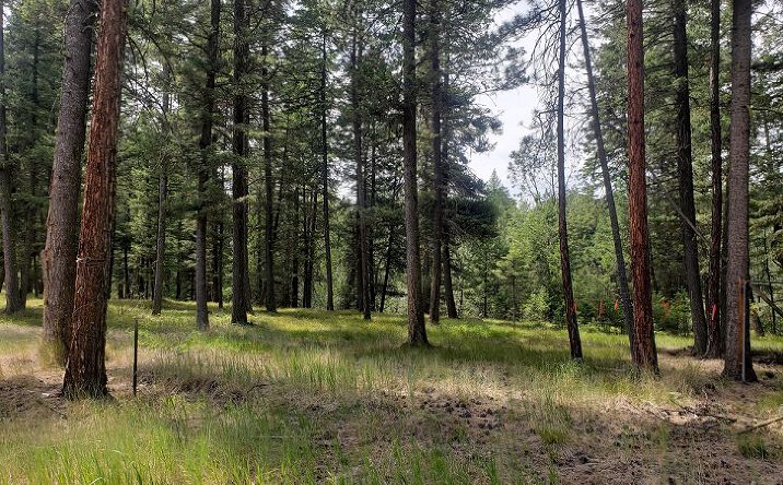 Pictures of Land property located at 19425 Pond Road, Frenchtown, MT 59834 for sales - image #1