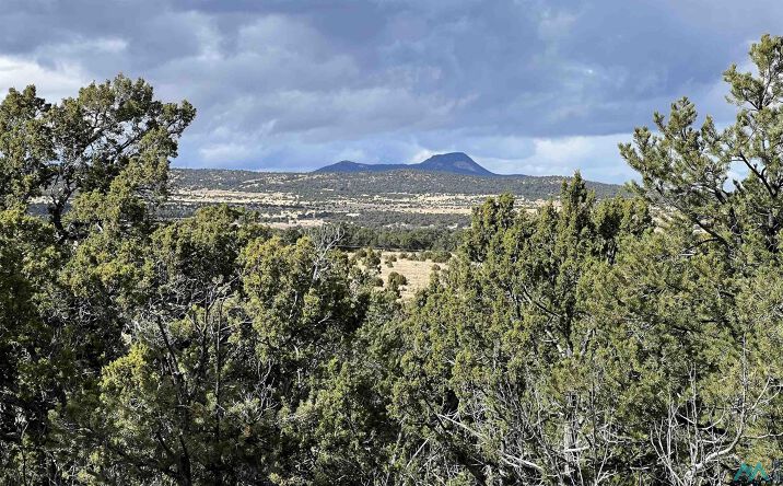 Pictures of Land property located at Mountain View Road, Pie Town, NM 87827 for sales - image #1