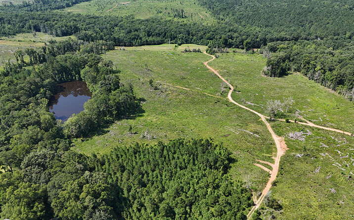 Pictures of Land property located at 1 Union Point Hwy, Union Point, GA 30669 for sales - image #1