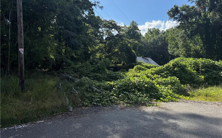 Pictures of Land property located at 85 Maple Street N, Dawsonville, GA 30534 for sales - image #1