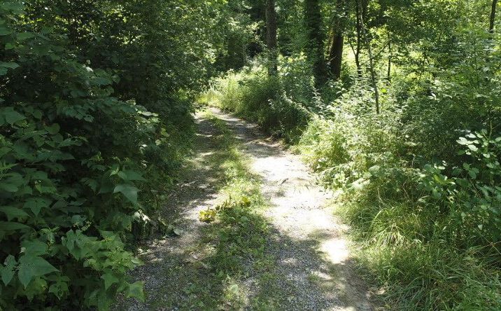 Pictures of Land, Multifamily property located at TBD Pocahontas Trail, Glade Spring, VA 24340 for sales - image #1