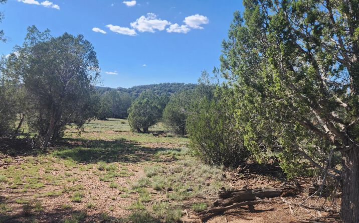 Pictures of Land property located at 150 Off Ten Tanks, Ash Fork, AZ 86320 for sales - image #1