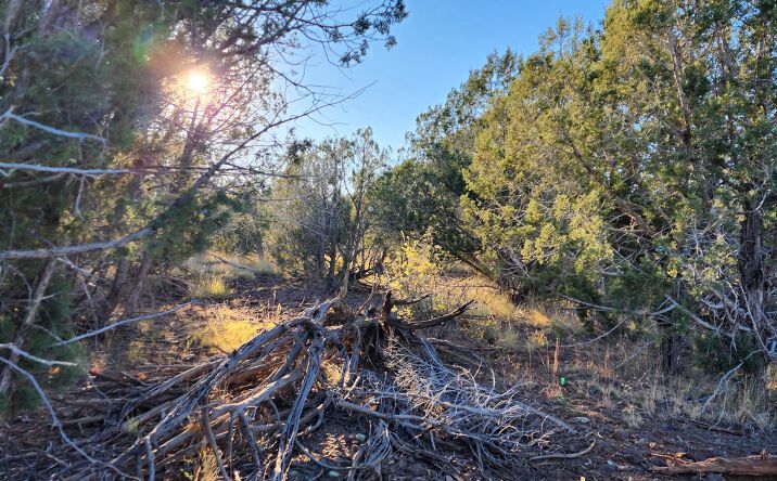 Pictures of Land property located at 88-D Rose Lane, Ash Fork, AZ 86320 for sales - image #1