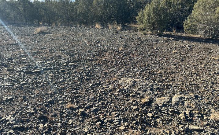 Pictures of Land, Multifamily property located at 3255 W Gary Circle, Williams, AZ 86046 for sales - image #1