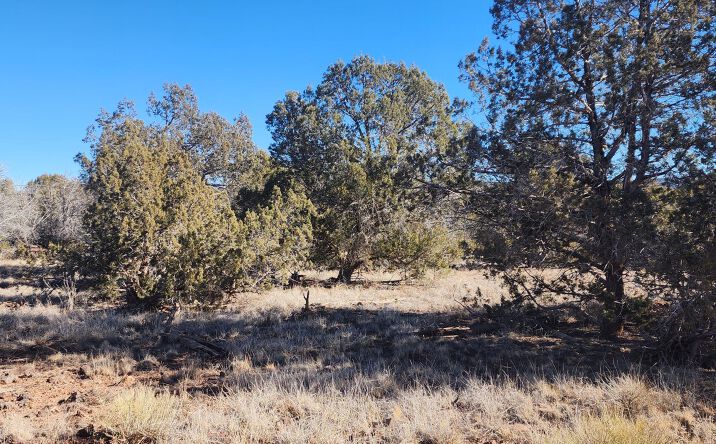 Pictures of Land property located at 2113 W Skyline Drive, Ash Fork, AZ 86320 for sales - image #1
