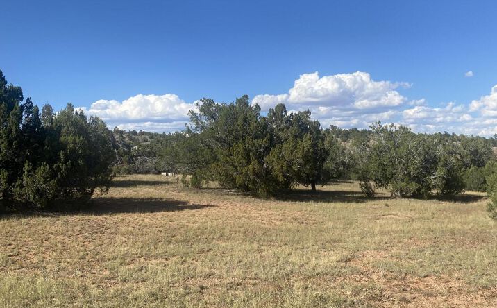 Pictures of Land property located at 34760 La Plancha Parkway, Seligman, AZ 86337 for sales - image #1
