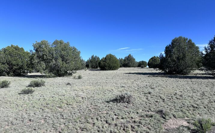 Pictures of Land, Multifamily property located at 0 W Slow Creek Road, Seligman, AZ 86337 for sales - image #1