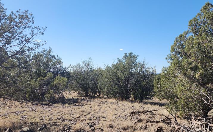 Pictures of Land property located at 3214 N Kerren Lp, Ash Fork, AZ 86320 for sales - image #1