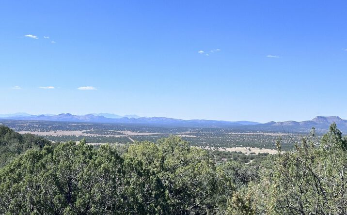 Pictures of Land, Multifamily property located at 814 Sierra Verde Ranch, Seligman, AZ 86337 for sales - image #1