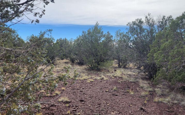Pictures of Land property located at 3500 N Stake Circle, Ash Fork, AZ 86320 for sales - image #1