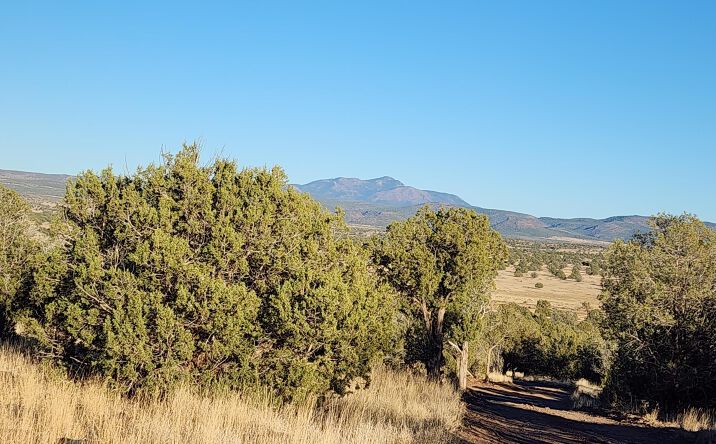 Pictures of Land property located at 88-B Rose  Lane, Ash Fork, AZ 86320 for sales - image #1