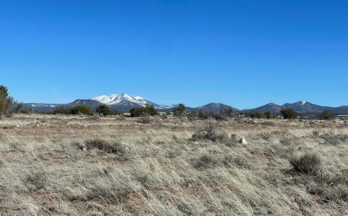 Pictures of Land, Multifamily property located at 461a S Big Bear Road, Williams, AZ 86046 for sales - image #1