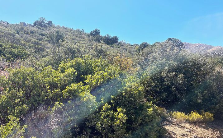 Pictures of Land property located at 000 Mcgee Pass, Wikieup, AZ 85360 for sales - image #1