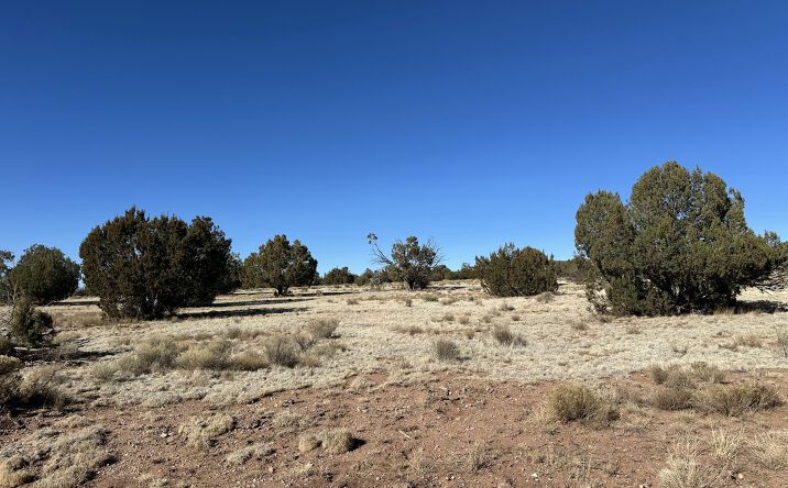 Pictures of Land, Multifamily property located at 932 SW Thirsty Burro, Seligman, AZ 86337 for sales - image #1