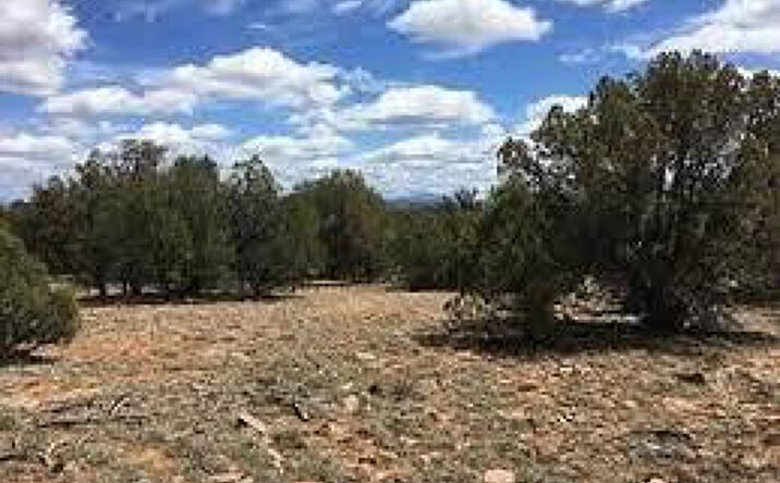 Pictures of Land property located at 970 Westwood Ranch, Williams, AZ 86046 for sales - image #1