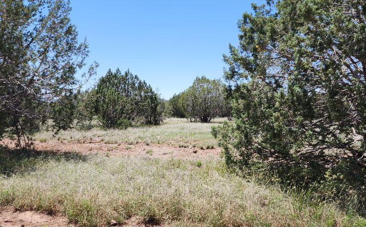 Pictures of Land property located at 364 & 363 Big View, Ash Fork, AZ 86320 for sales - image #1