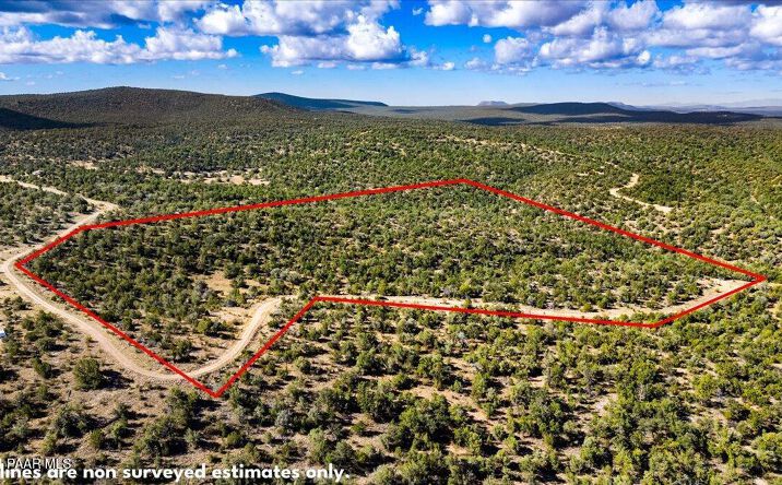 Pictures of Land, Multifamily property located at 1399 N Thunder Ridge Ranch Road, Seligman, AZ 86337 for sales - image #1