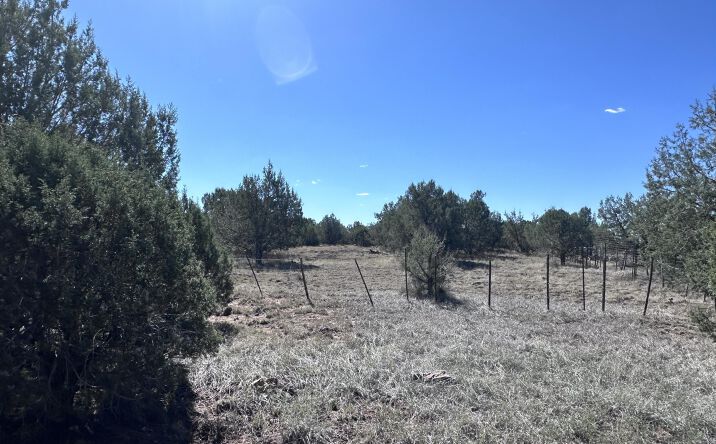 Pictures of Land, Multifamily property located at 202 W Hillcrest Drive, Williams, AZ 86046 for sales - image #1