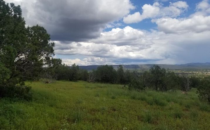Pictures of Land property located at 2271 W Roberts Road, Williams, AZ 86046 for sales - image #1