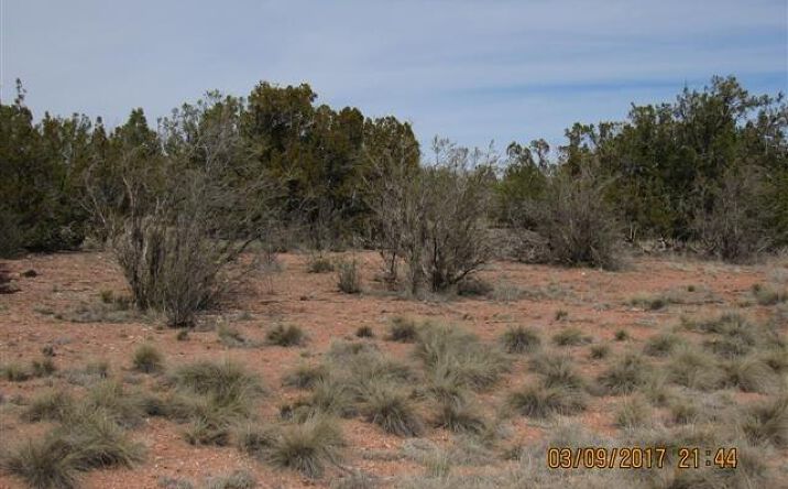 Pictures of Land property located at 55899 N Val Vista Road, Seligman, AZ 86337 for sales - image #1