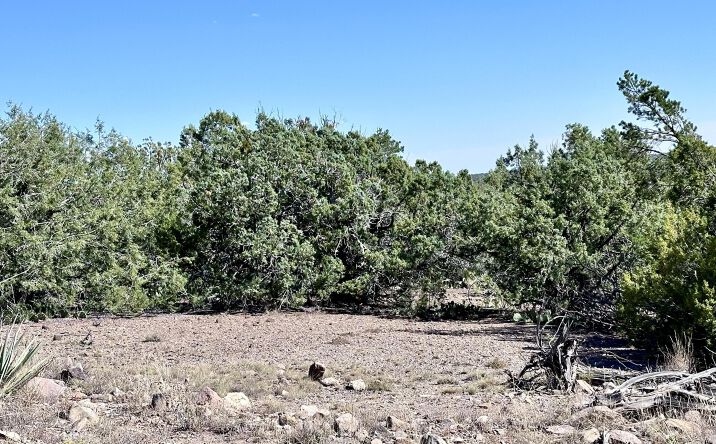 Pictures of Land, Multifamily property located at Lot 1173 N Wonderland Way, Seligman, AZ 86337 for sales - image #1