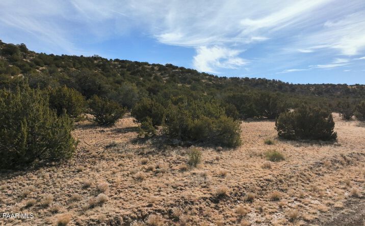 Pictures of Land, Multifamily property located at 11646 Howard Mesa Loop, Williams, AZ 86046 for sales - image #1