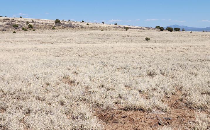 Pictures of Land property located at 79e Falcon Flight Way, Ash Fork, AZ 86320 for sales - image #1