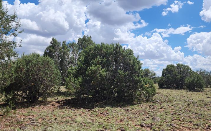 Pictures of Land property located at 687-B Medicine Man Trail, Seligman, AZ 86337 for sales - image #1