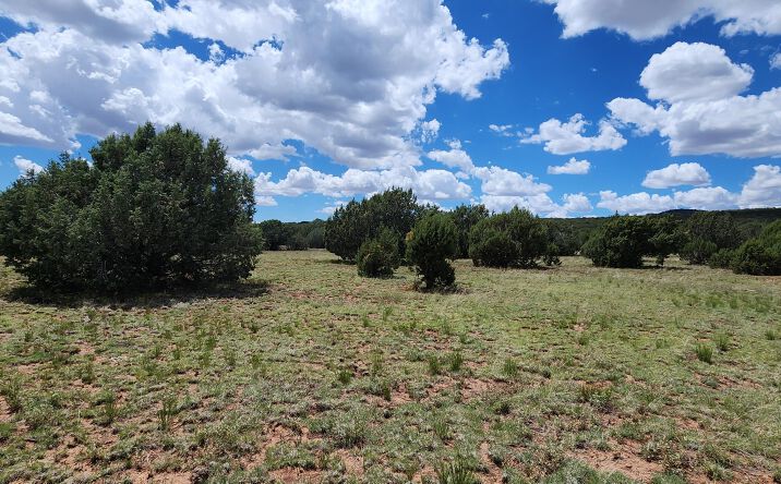 Pictures of Land property located at 687-A Medicine Man Trail, Seligman, AZ 86337 for sales - image #1