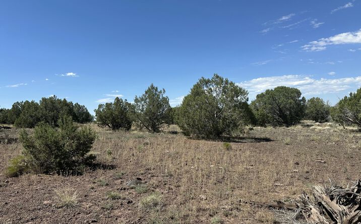 Pictures of Land, Multifamily property located at 2050 W Skyline Drive, Williams, AZ 86046 for sales - image #1