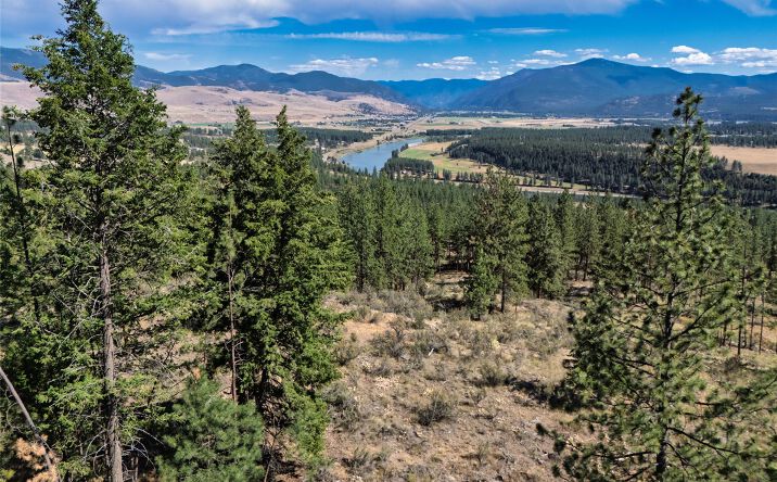 Pictures of Land property located at Nhn Whitetail Lane, Plains, MT 59859 for sales - image #1