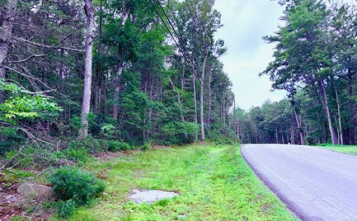 Pictures of Land property located at Lot 41 Leers Road, Lumberland, NY 12737 for sales - image #1