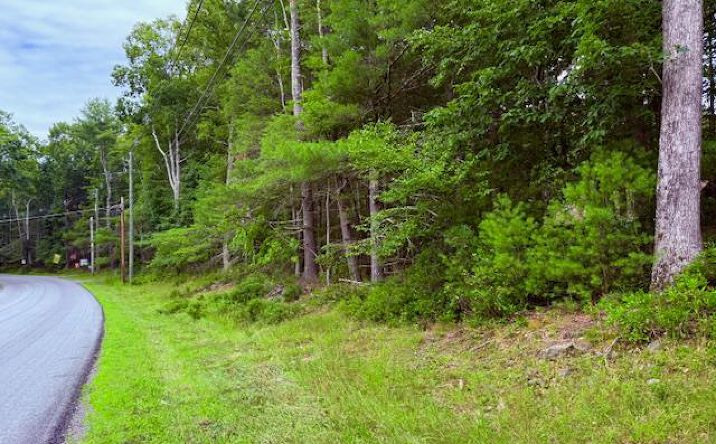 Pictures of Land property located at Lot 42 Leers Road, Lumberland, NY 12737 for sales - image #1