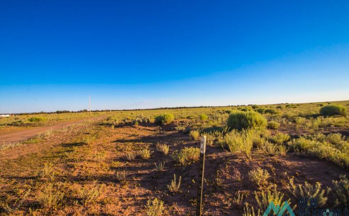 Pictures of Land property located at Jones Ranch Lot 17 Road, Vanderwagen, NM 87326 for sales - image #1