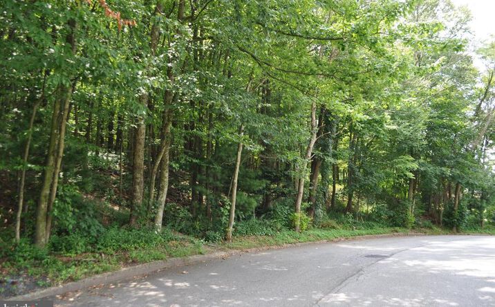 Pictures of Land property located at 0 Mahantongo Dr, Pottsville, PA 17901 for sales - image #1