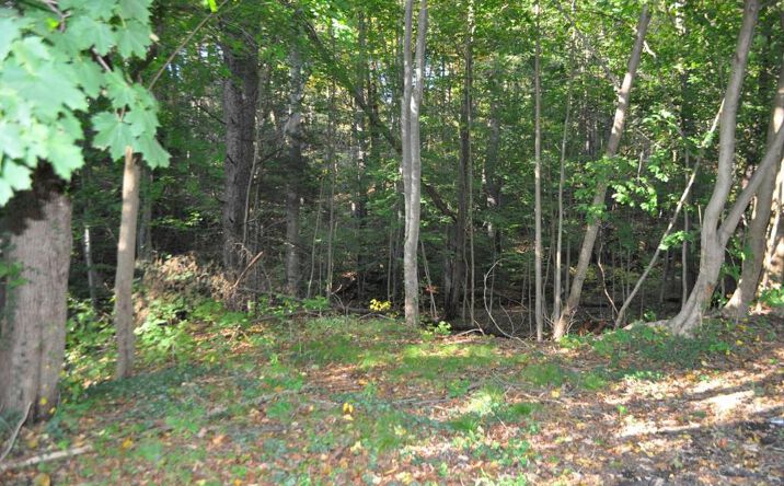 Pictures of Land property located at 2505 West End Ave, Pottsville, PA 17901 for sales - image #1