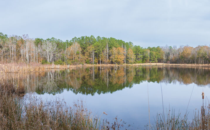 Pictures of Land property located at Drexel St, Orangeburg, SC 29115 for sales - image #1