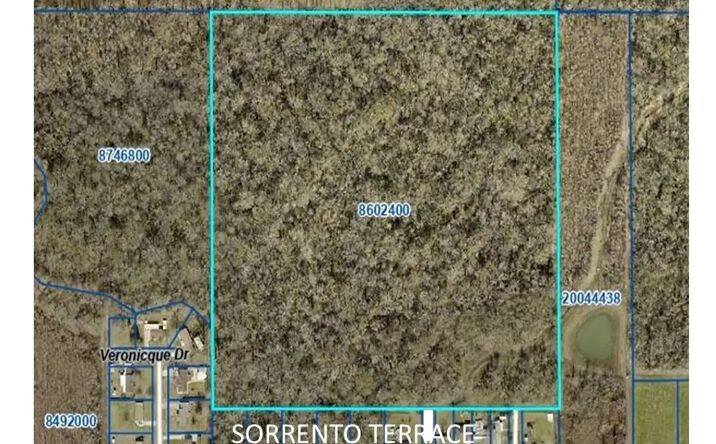 Pictures of Land property located at Tbd Oak St, Sorrento, LA 70778 for sales - image #1