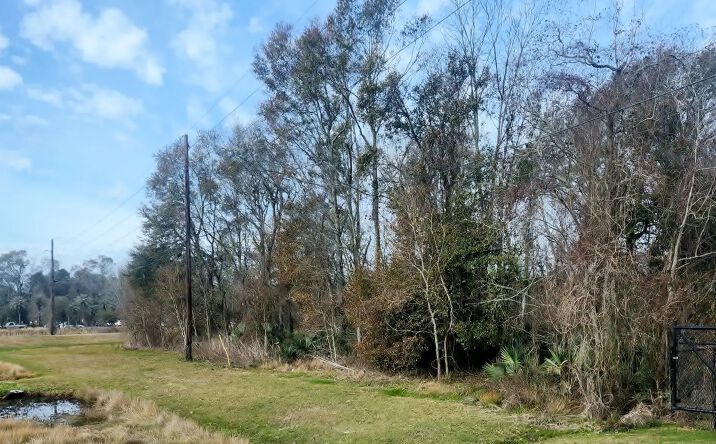 Pictures of Land property located at John Leblanc Blvd, Sorrento, LA 70778 for sales - image #1