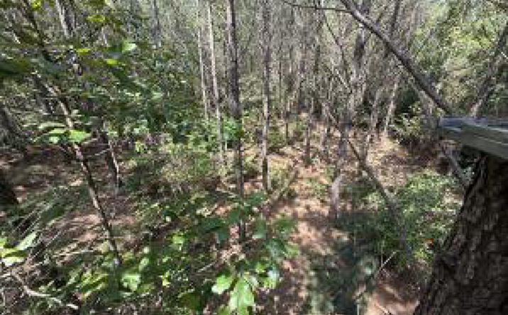 Pictures of Land property located at Hhf 1 Old Georgetown Road W, Kershaw, SC 29067 for sales - image #1