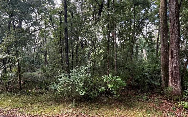 Pictures of Land property located at 2 NE 83rd Ave, Old Town, FL 32680 for sales - image #1