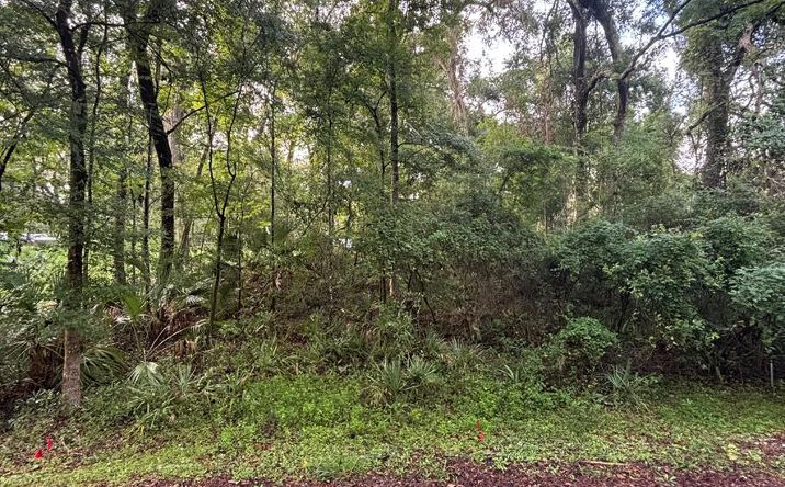 Pictures of Land property located at 01 NE 83rd Ave, Old Town, FL 32680 for sales - image #1
