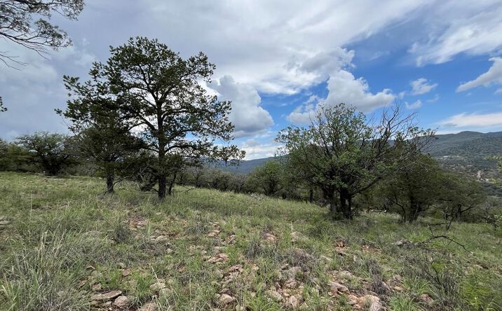 Pictures of Land property located at 102 Apache Mountain Trail, Fort Davis, TX 79734 for sales - image #1