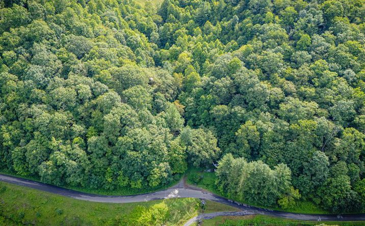 Pictures of Land, Multifamily property located at TBD Lynn Springs Rd, Swords Creek, VA 24649 for sales - image #1