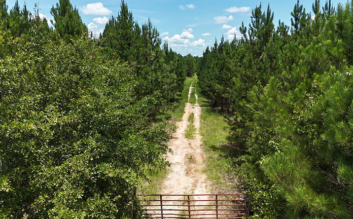 Pictures of Land property located at Doe Hill Rd, Sylvester, GA 31791 for sales - image #1